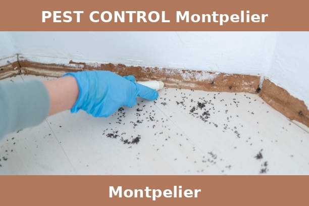 PEST CONTROL Montpelier